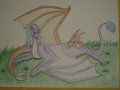 foto dragea draconniss.JPG